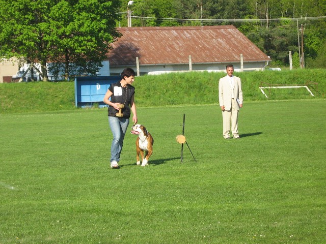www.atibox.net * www.euroboxer.eu * www.boxergenealogia.eu